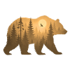 Bärenstark - WiederWilderLeben