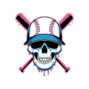 Baseball Skull Baseball Bat