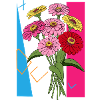 Zinnias