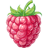 Raspberry