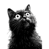 Black Cat Henry