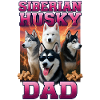 Sibirischer Husky