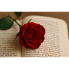 Book and rose