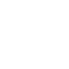 Icônes à deux temps