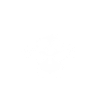 Animaux Humour musculation