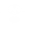 musculation