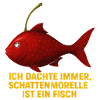 Fish morello cherries