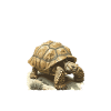 Don't worry that my