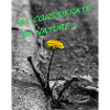 Be considerate of nature