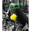 Be considerate of nature