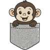 Pocket monkey