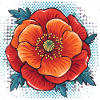 klatschmohn,mohn,blume