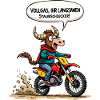 Motocross Stier