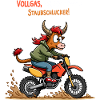 Motocross Stier