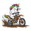 Einhorn-Motocross