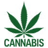 Cannabis Hanfblatt Statement Grüner Look