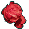 Rote Rose