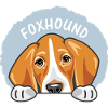 Peeking cute sad foxhound