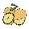Leckere Frucht Orange