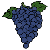 Delicious Fruit Grape