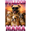 Bulldogge