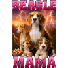 Beagle
