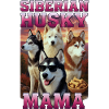 Sibirischer Husky