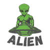 Green Alien UFO Encounter