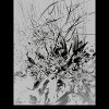 Monochrome Nature