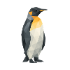 Polygon Penguin