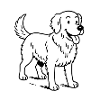 Apportierhund