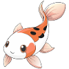 Cute showa koi carp