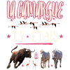 LA CAMARGUE J'Y ETAIS