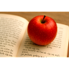 Beech and apple