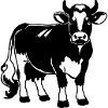Schwarz-Weiß-Milchkuh-Design – Farm & Dairy