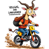 Motocross Bull