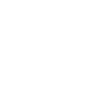 Glück / Marienkäfer / Glücksbringer