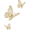 Golden Butterflies - Light & Midsummer Magic