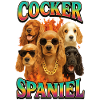 Cocker Spaniel