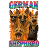 Deutscher Schäferhund