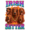Irish Setter