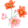 Fleur