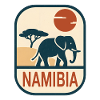 Namibia Elephant Africa