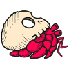 Hermit Skull