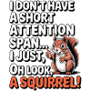 ADHD? Oh look, a squirrel!