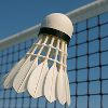 Sport - Badminton