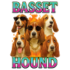 Basset