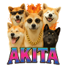 Akita