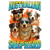 Australischer Schäferhund