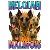 Belgischer Malinois